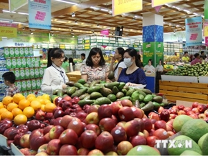 Ho Chi Minh City’s CPI falls slightly in November
